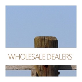 EN wholesale dealers
